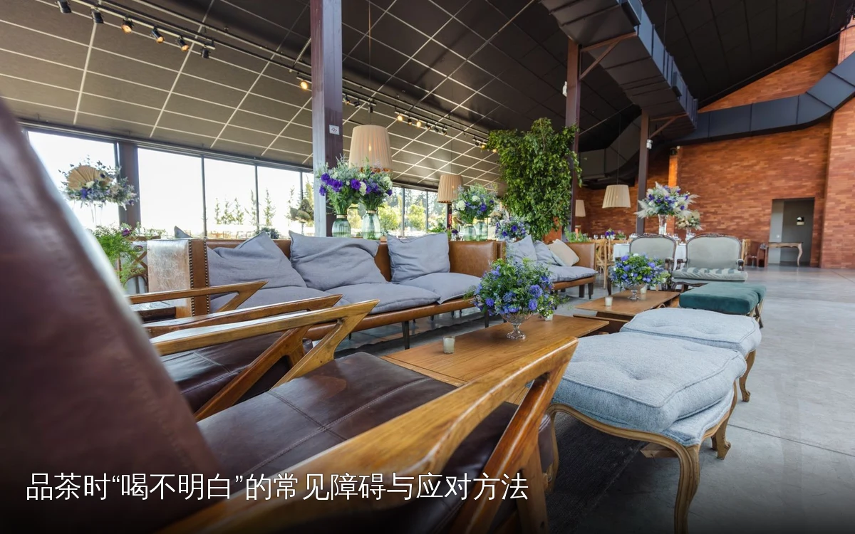 品茶时“喝不明白”的常见障碍与应对方法
